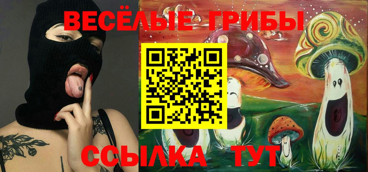 Псилоцибиновые грибы прущие грибы Грязи