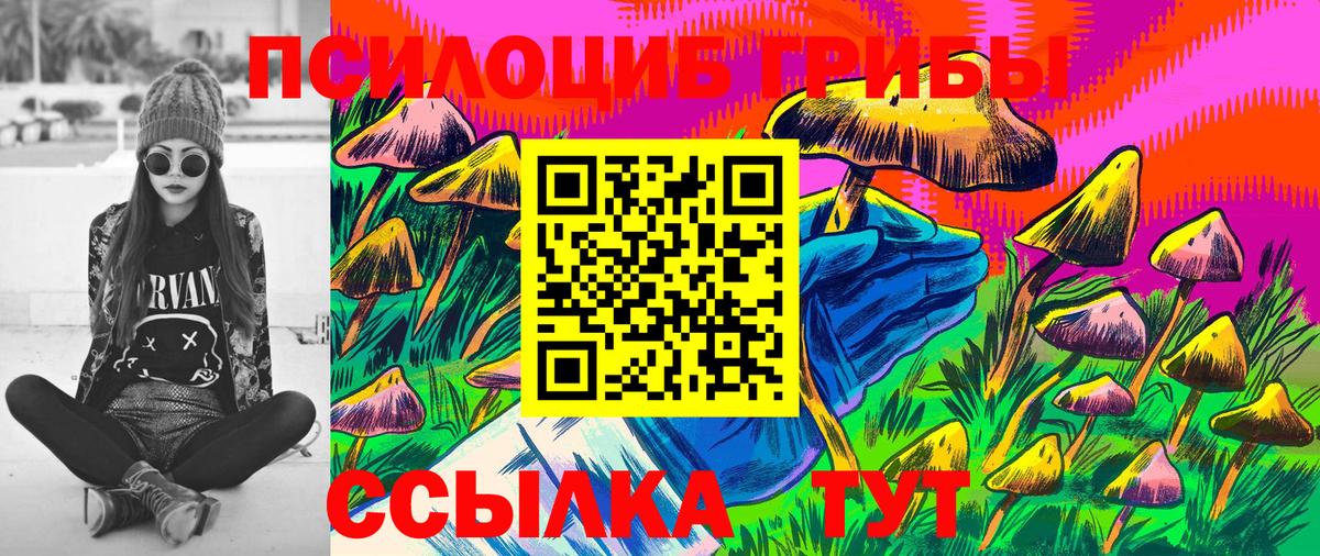 Галлюциногенные грибы MAGIC MUSHROOMS  Вход с VPN  Псилоцибиновые грибы прущие грибы  Грязи 